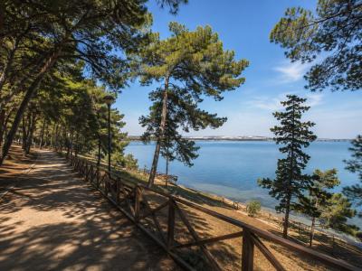 Parco Cimino - Taranto (AI assisted)